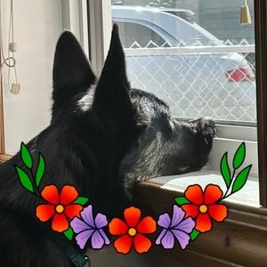 Meet your Posher, Donna